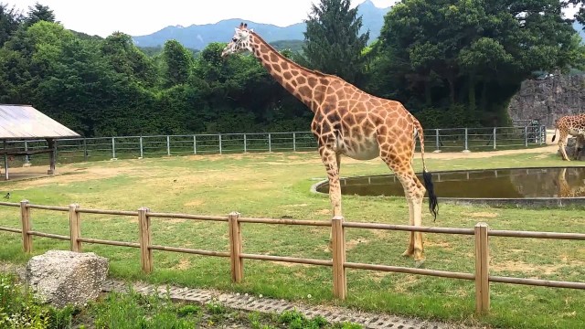 منتزه سول الكبير